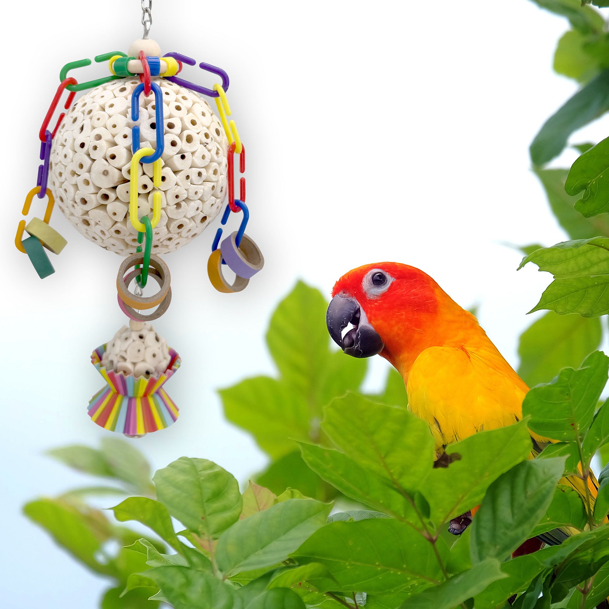 Bird toy outlet store