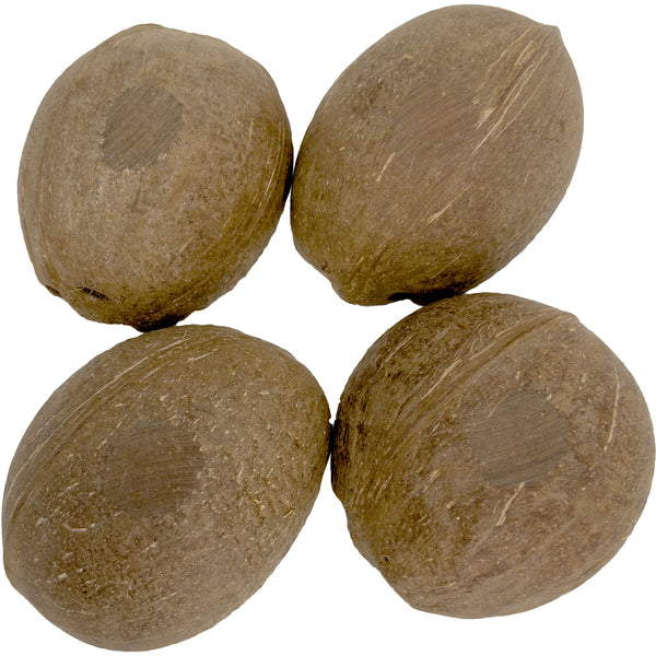 2070 Pk4 Sanded Base Half Shell Coconut - Hover