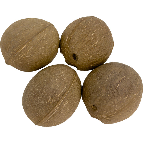 2071 Pk4 Half Shell Coconuts - Hover