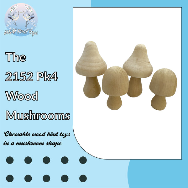 2152 Pk4 Wood Mushrooms - Hover