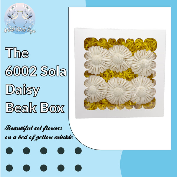 6002 Sola Daisy Beak Box - Hover